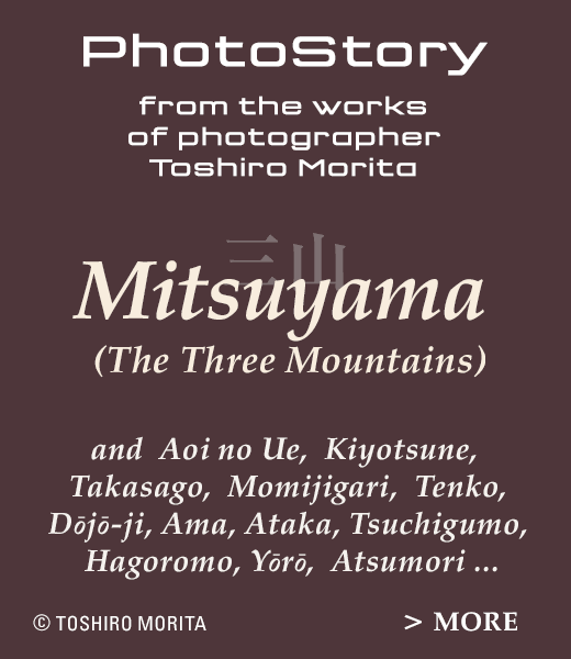 Mitsuyama PhotoStory